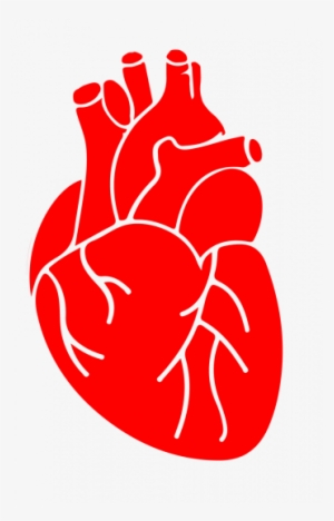 G's Tips For A Healthy Heart