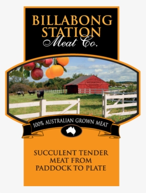 Master's Touch - Trade Paperback