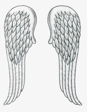 Source - Data - Whicdn - Com - Report - Transparent - Angel Wing Drawing Easy