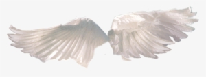 Tubes Phares Rantaro Amami, Grunge Tumblr, Angel Wings, - Wings Tumblr Transparent