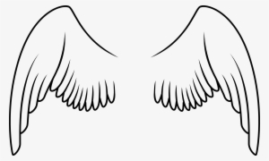 Being A Fan Doesn T Mean Being There From The Start - Alas De Un Ave Para Dibujar