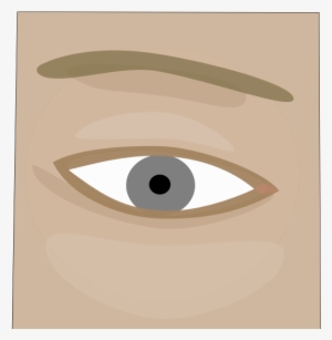 Human Eye, Rendered From Eye - Portable Network Graphics