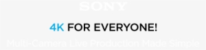 Sony Palm Camcorders - Printing
