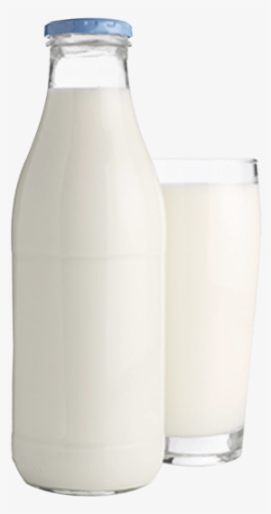 Glass Bottle