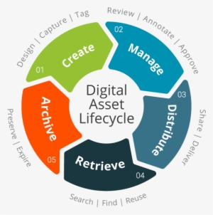 Ensuring The Success Of Your Digital Assets Management - Digital Asset Management Lifecycle