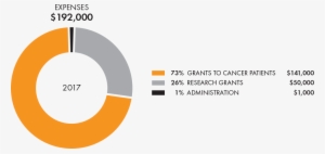 Dam Cancer 2017 Financials - Cancer
