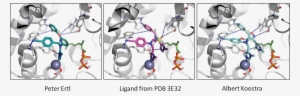 Dam Winner Molecuels In Context Of Protein - Protein