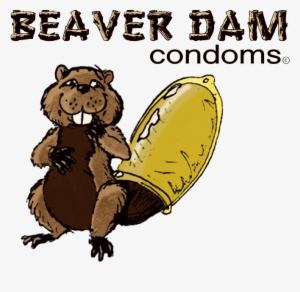 Beaver Condoms