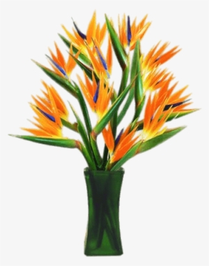 Bird Of Paradise Flowers In A Vase - Ave Del Paraiso Florero