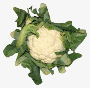 Cauliflower Png Image Without Background - Cauliflower