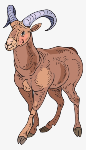 Desert Bighorn Sheep Clipart