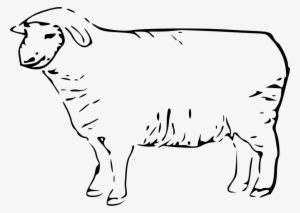 This Free Clipart Png Design Of Sheep Clipart Has - Sheep Clip Art