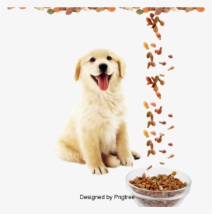 Pet Dog, Dog Clipart, Dog, Pet Png And Psd - Pet