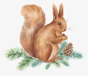 Hand Painted Squirrel Png Transparent Ready To Eat - Squirrel
