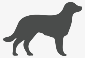 Daily Support Dog - Dog Silhouette Hd