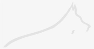 Contact Us - White Silhouette Dog Png