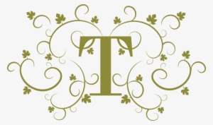 I Decided To Name The Brand Thierry, I Wanted To Reflect - Portable Network Graphics