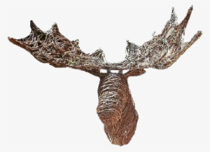 Grapevine Moose Head
