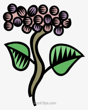 Grape Vines Royalty Free Vector Clip Art Illustration