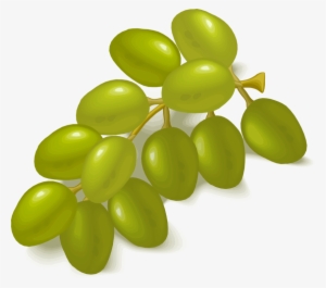 Common Grape Vine Wine Fruit Salad Sultana - Grapes