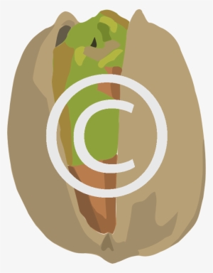 Pistachio - Png - Portable Network Graphics