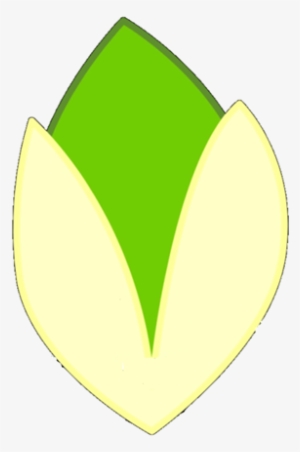 Pistachio Old Body - Bfdi Leafy Old Body