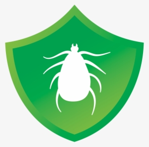 New Chewable Flea & Tick Product For Dogs - Tick