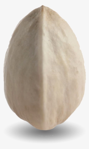 These Are Pistachios That Haven't Opened Naturally - Eggplant