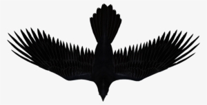 Artist Management For Indie Artists And Bands - Raven Music