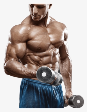 How Does My Diet Effect My Arms Growing Or Not