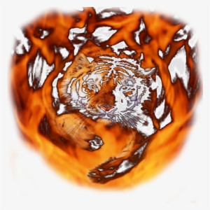 Transparent Background Image - Bengal Tiger