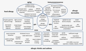 In The Elderly - Old Age