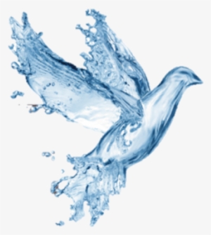 Water Dove Image - Prince Roger Nelson Rip