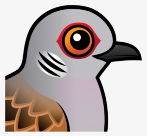 About The European Turtle Dove - Pigeons And Doves