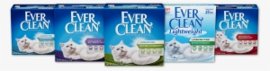 What's The Right Litter For Your Cat - Ever Clean Ever Fresh Litter With Activated Charcoal