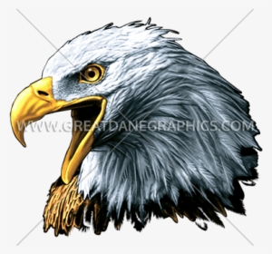 Eagle - God Bless The Usa 6" X 12" Metal Patriotic License