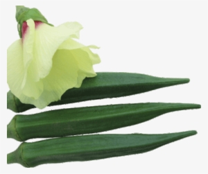 Gs 123 Plus - Artificial Flower