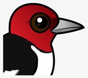 About The Red-headed Woodpecker - Woodpeckers Cartoon
