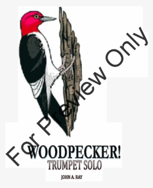 Woodpecker Thumbnail Woodpecker Thumbnail - J.w. Pepper & Son
