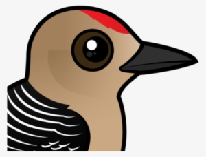 Woodpecker Clipart Two - Zazzle Birdorable Gila Woodpecker Ring, Adult Unisex,