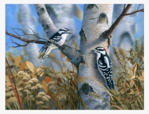 Downy Woodpeckers Limited Edition Print - Bradley Jackson