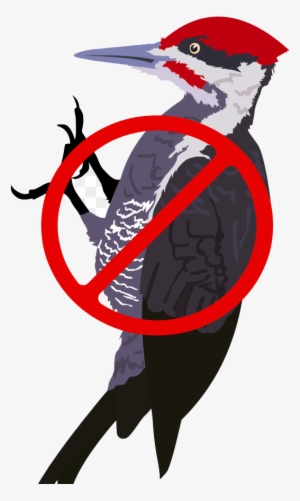 Which Are Mixed In A Proprietary Ratio To Produce The - Woodpecker Png