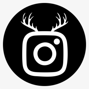 Instagram - Tezos Ico