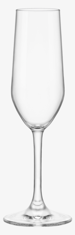 Champagne Glass Riserva - Champagne Stemware