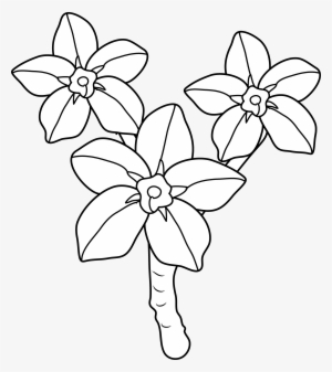 Forget Me Not Clipart Line Drawing - Coloring Book