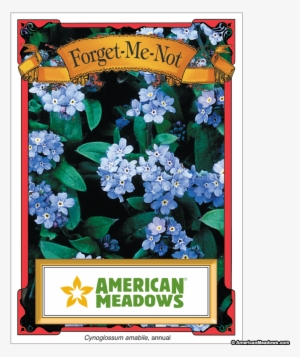 Forget Me Not Seed Packet - Seed Packets Of Flowers