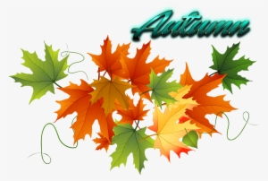 Autumn Leaves Free Png Image - Autumn Leaves Clipart