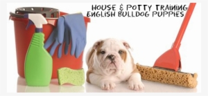 Didn't I Think Of That? - Multiple Uses Of Common Household