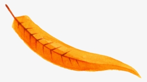 Autumn Sunset Leaves Transparent Free Buckle Png - Yellow