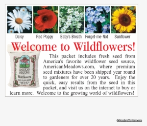 Forget Me Not Seed Packet - Sunflower